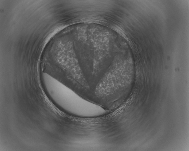 X0000087371032200705181211