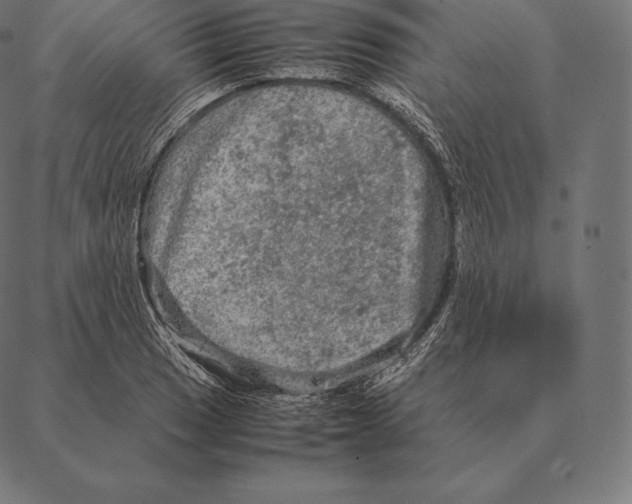 X0000087371033200705181211