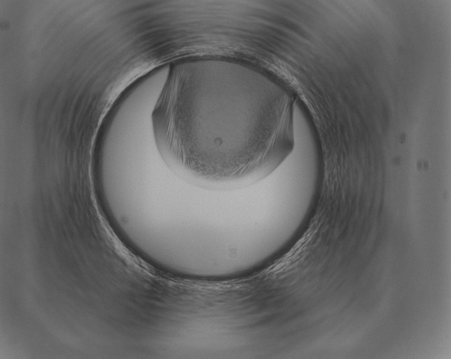 X0000087371034200705181211