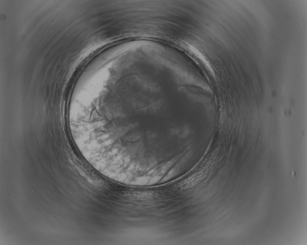 X0000087371035200705181211