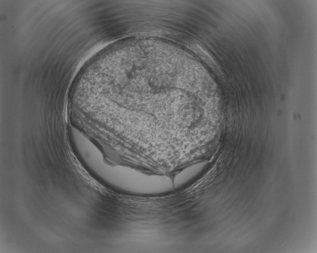 X0000087371036200705181211