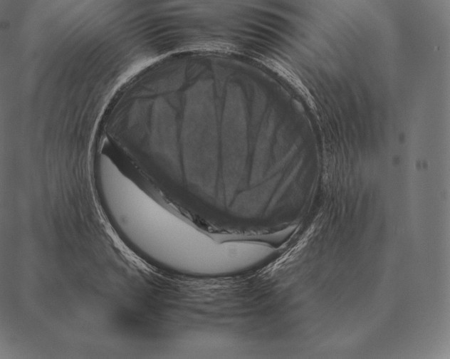 X0000087371037200705181211