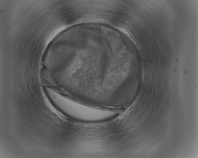 X0000087371038200705181211