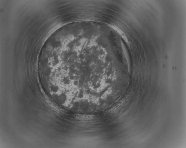 X0000087371039200705181211