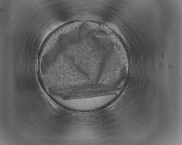 X0000087371040200705181211