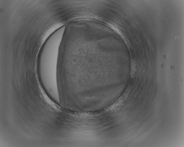 X0000087371042200705181211