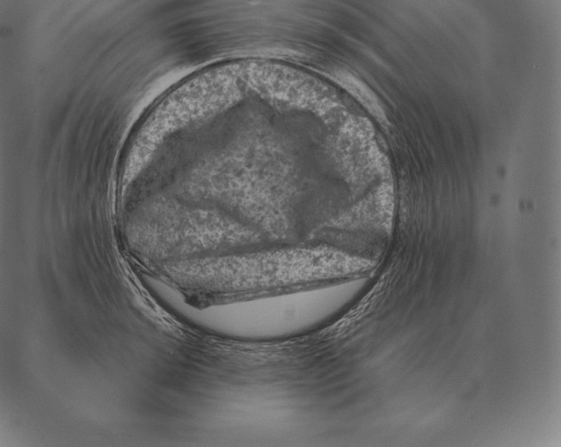 X0000087371044200705181211