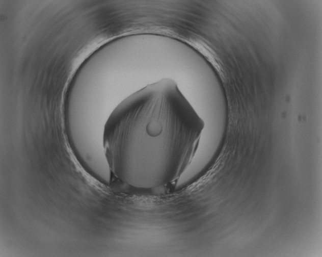 X0000087371046200705181212