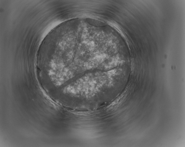 X0000087371048200705181212