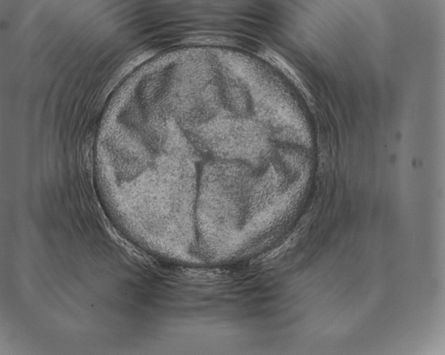 X0000087371049200705181212