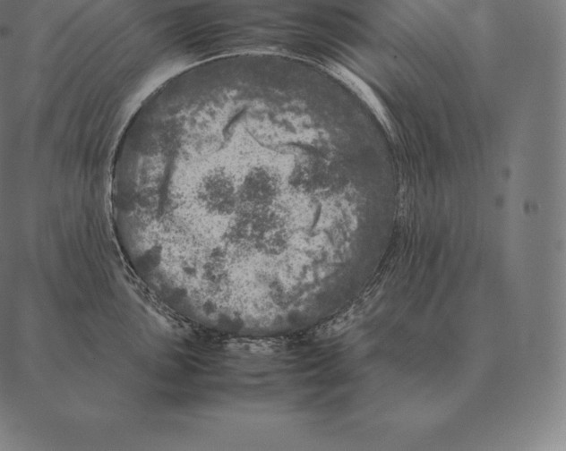 X0000087371051200705181212