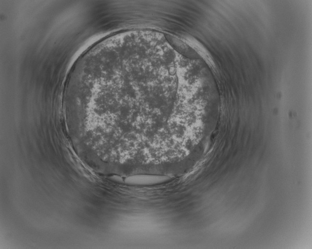 X0000087371052200705181212