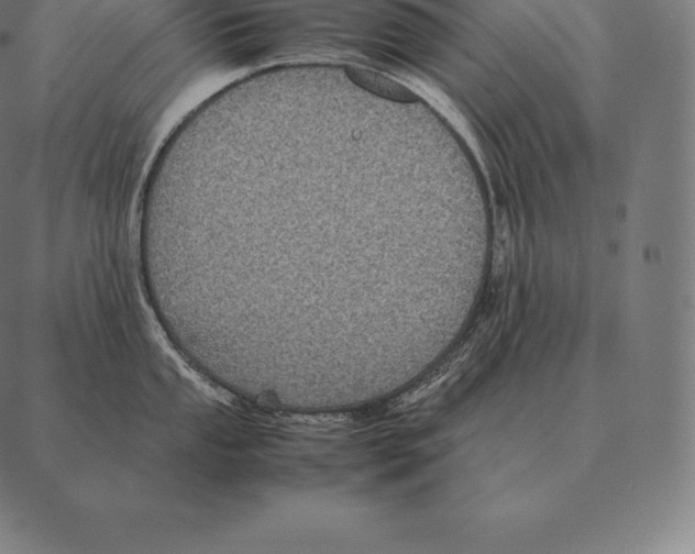 X0000087371053200705181212