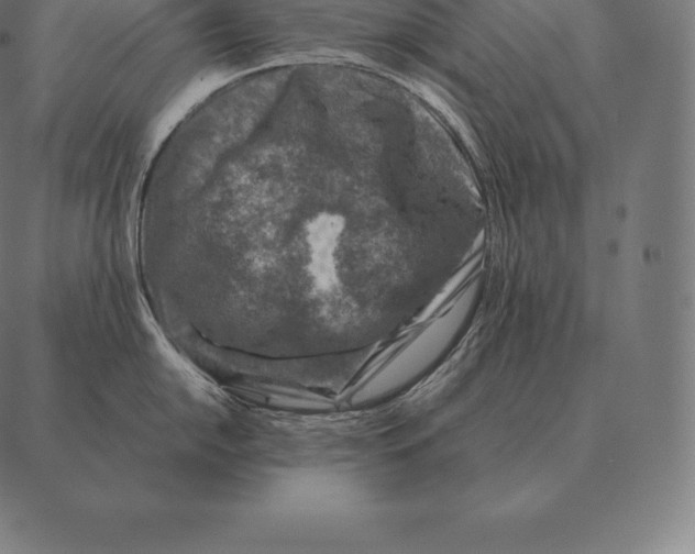 X0000087371054200705181212