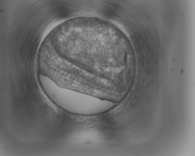 X0000087371056200705181212