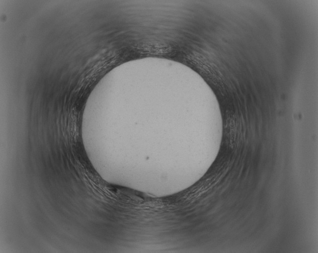 X0000087371058200705181211