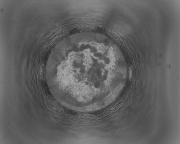 X0000087371059200705181211