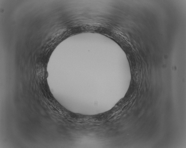 X0000087371061200705181211