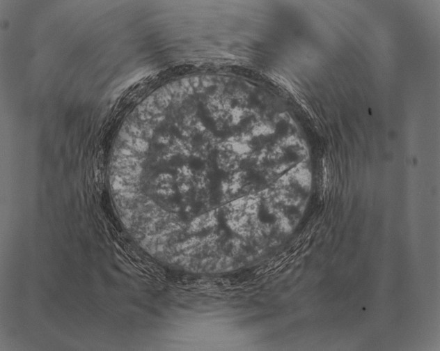 X0000087371063200705181211