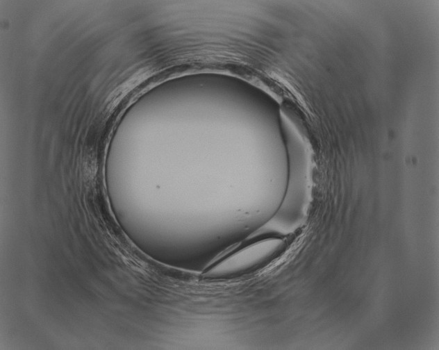 X0000087371065200705181211