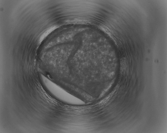 X0000087371066200705181211