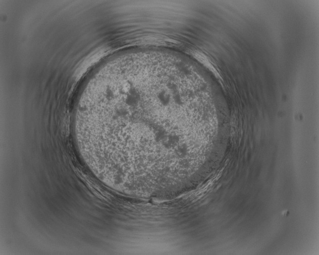 X0000087371067200705181211