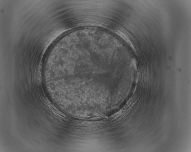 X0000087371068200705181211