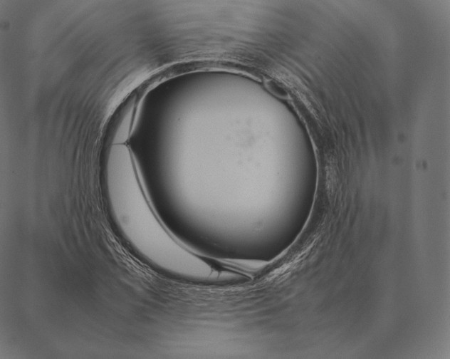 X0000087371069200705181211