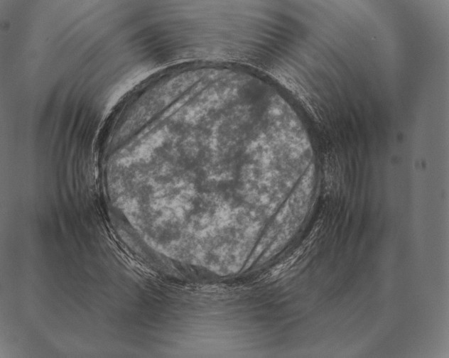 X0000087371070200705181211