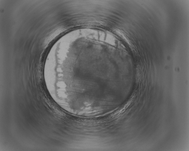 X0000087371071200705181211