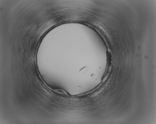 X0000087371073200705181211