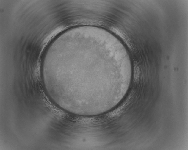 X0000087371074200705181211