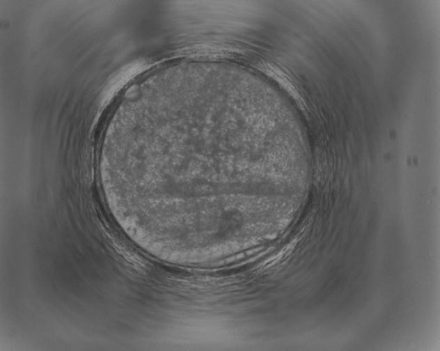 X0000087371075200705181211