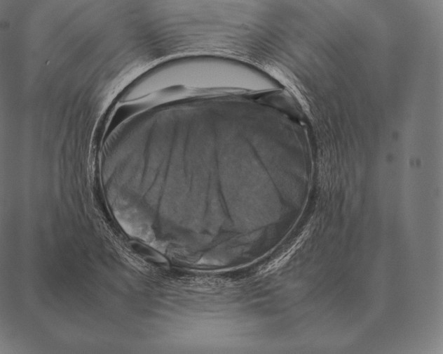 X0000087371077200705181211