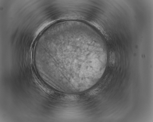 X0000087371078200705181211