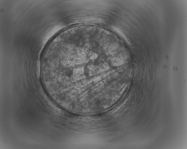 X0000087371079200705181211