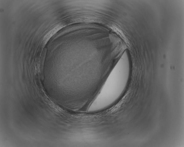 X0000087371081200705181211