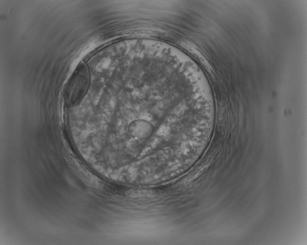 X0000087371083200705181210