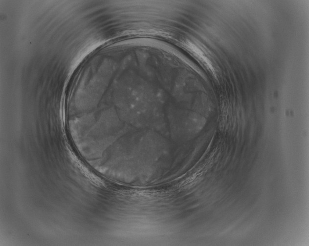 X0000087371084200705181210