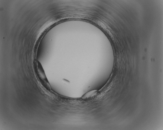 X0000087371085200705181210