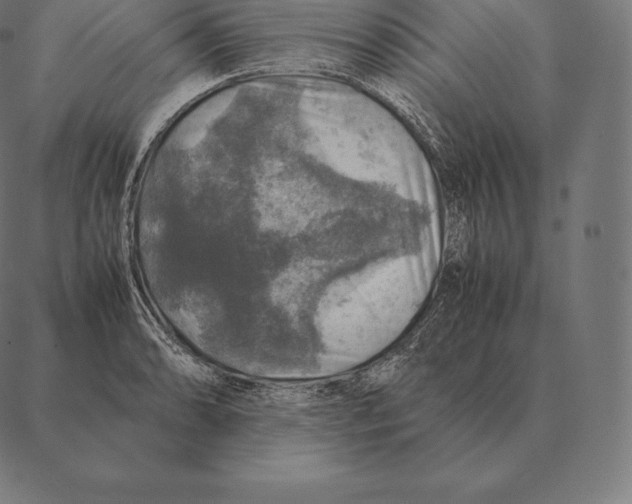 X0000087371086200705181210