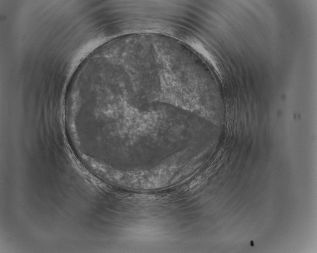 X0000087371088200705181210