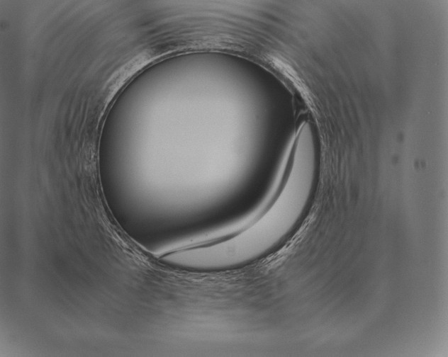 X0000087371089200705181210