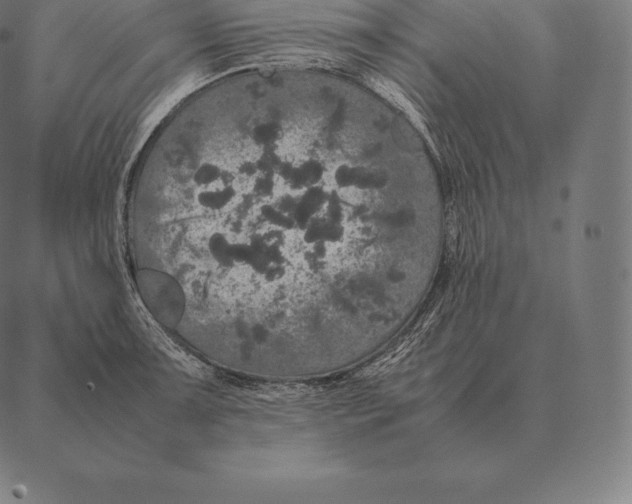 X0000087371091200705181210