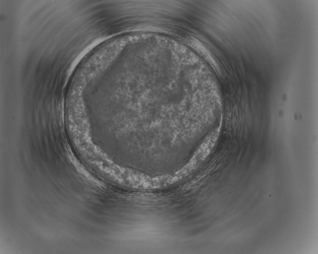 X0000087371092200705181210