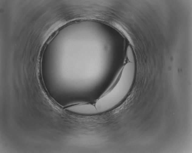 X0000087371093200705181210