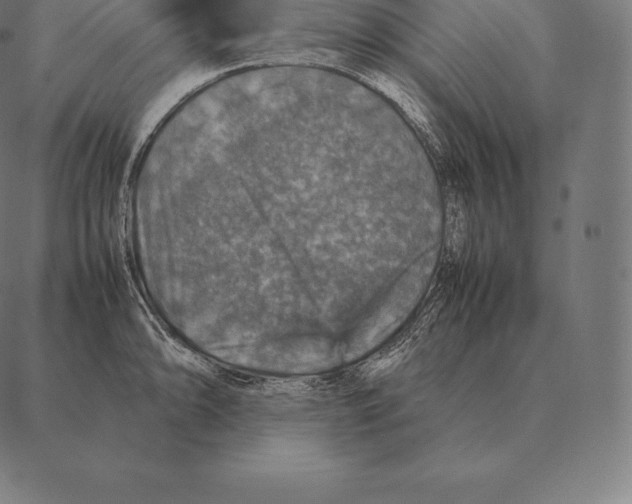 X0000087371094200705181210