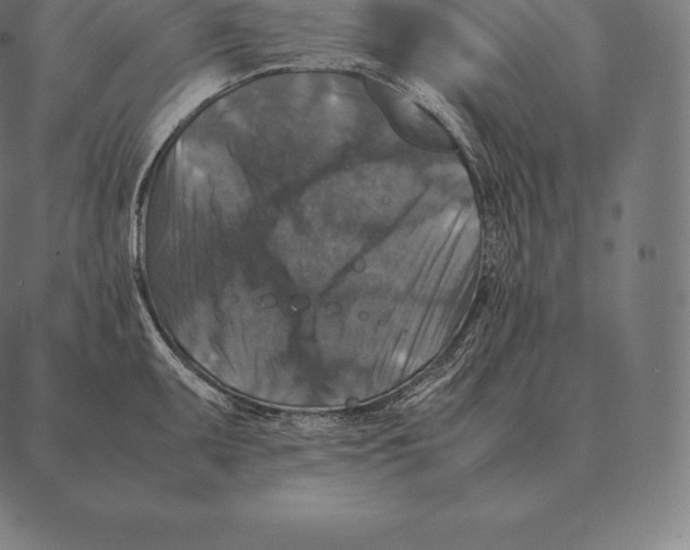 X0000087371095200705181210