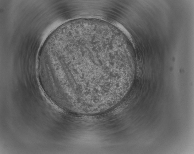 X0000087371096200705181210