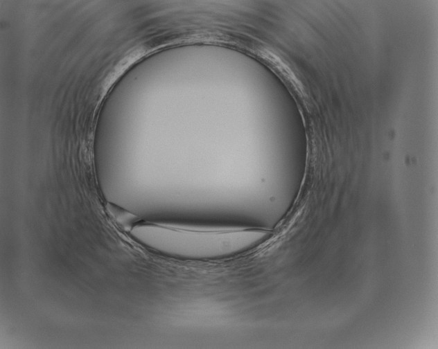 X0000087371097200705181210